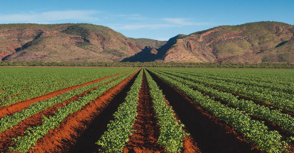 hero image for research page