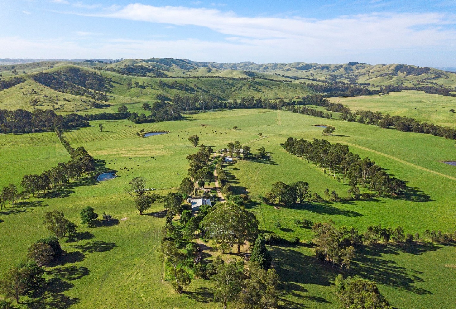 Warambie search 1536x1040