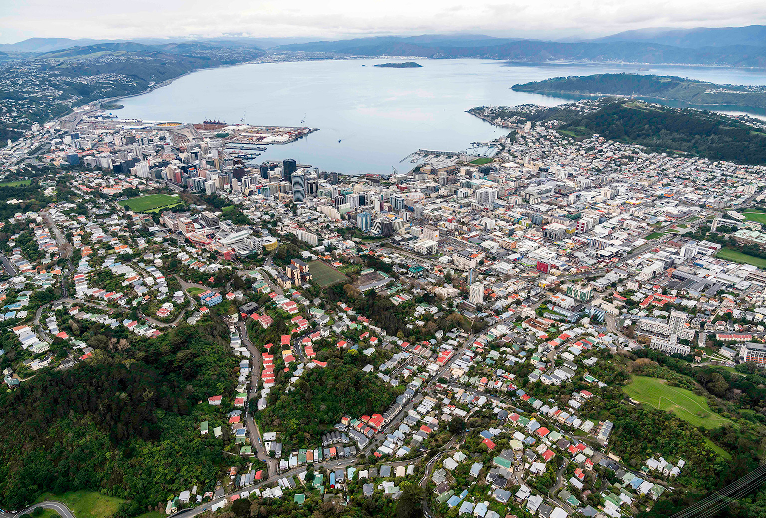 Wellington commercial space