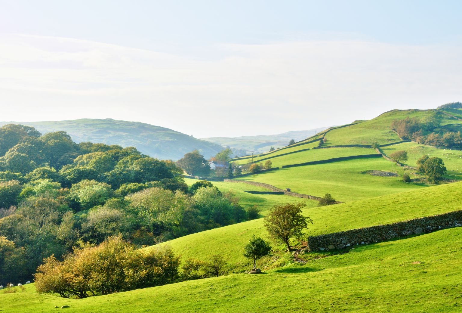 Canterbury lifestyle property in high demand as lifestyle seekers flock to the region