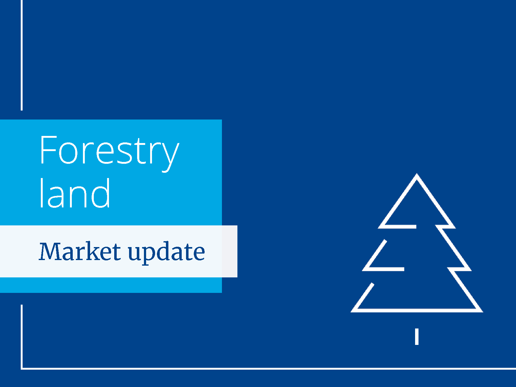 Forestry Market update website hero image