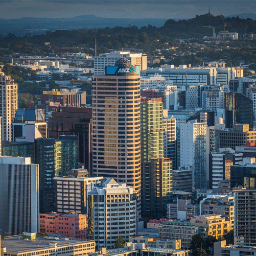 capital markets specialise in institutional and listed company property sales