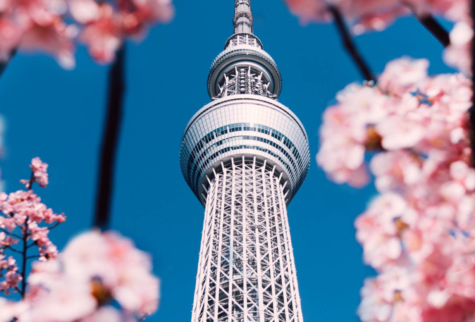 Colliers APAC CIVAS Hotel Insights Q2 2021 report