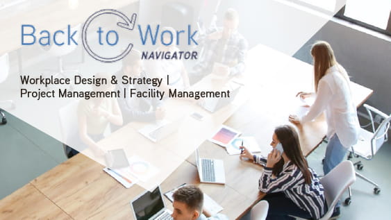 back_to_work