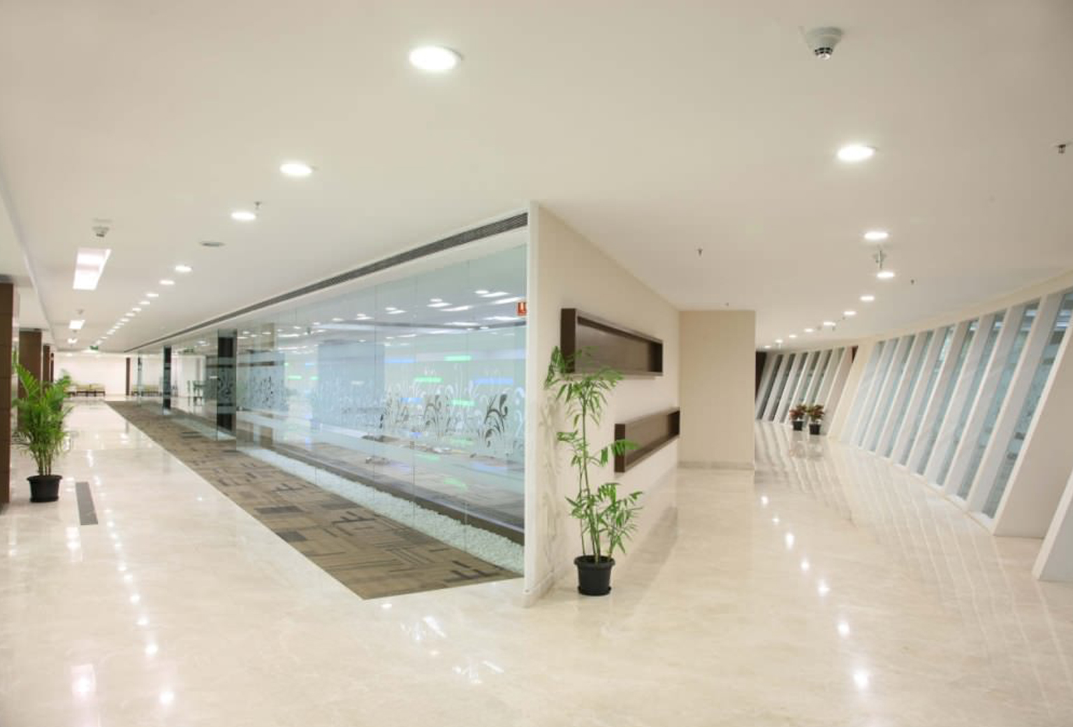 Cognizant2 Hero Image