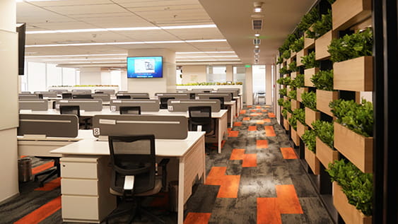 DesignBuildPM Solutions