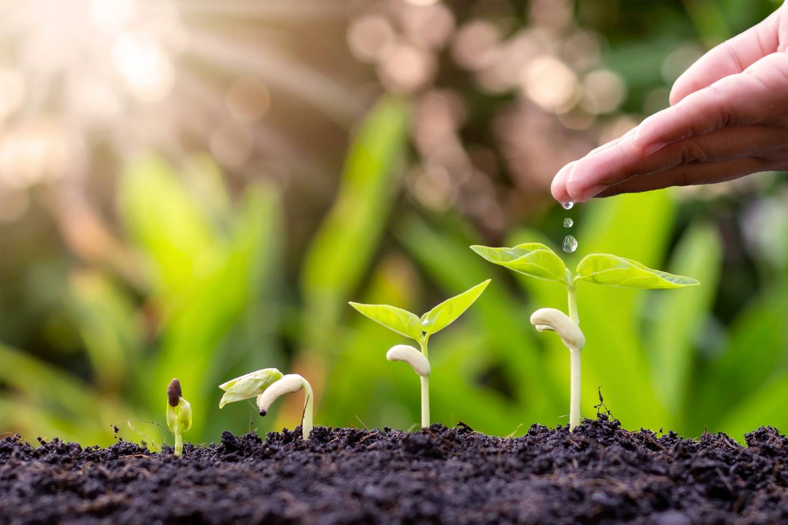 Colliers REview Singapore blog - PGIM real estate creating opportunities crisis