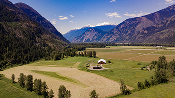 pemberton embedded