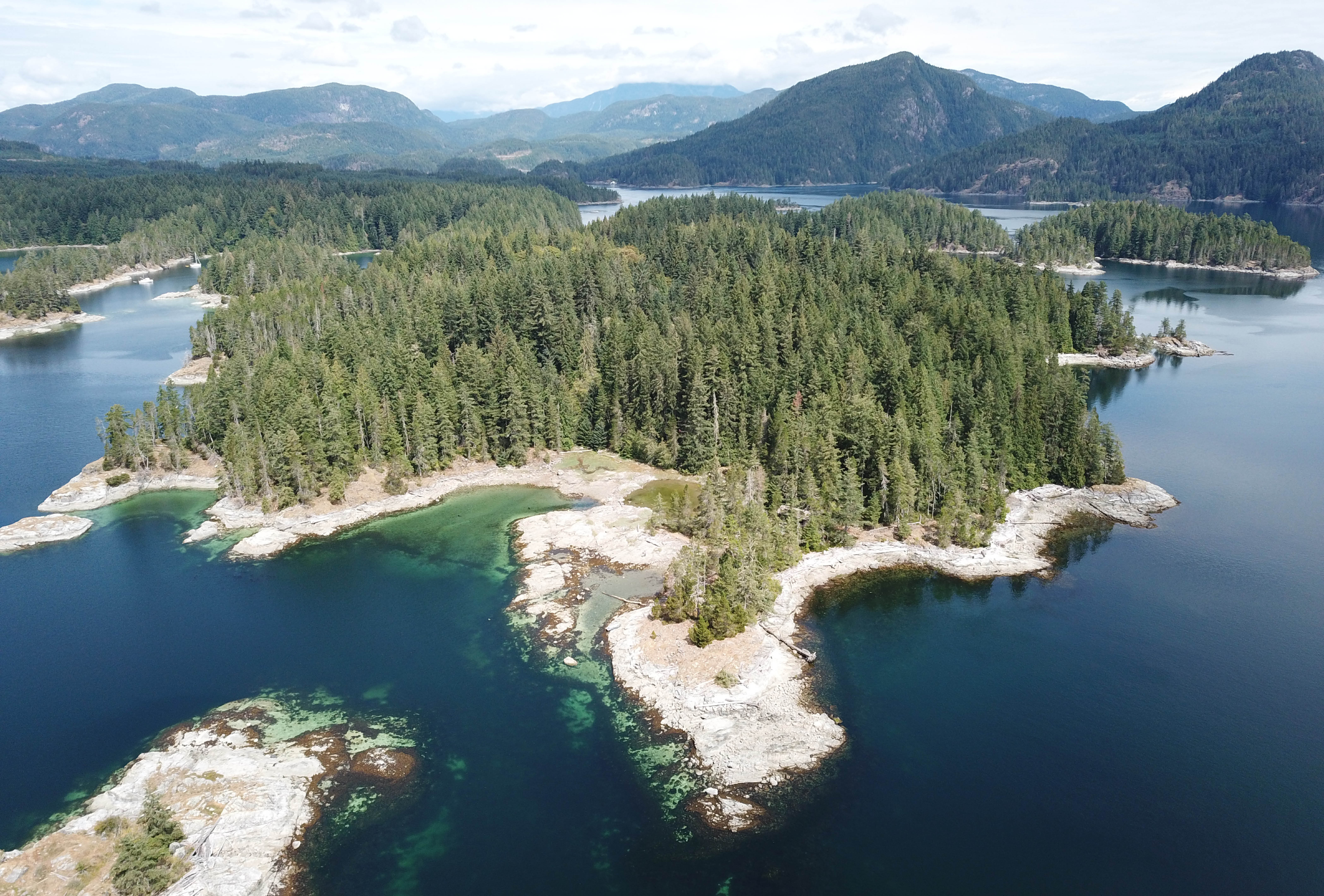 mark_nationalpost_interview_1536x1040