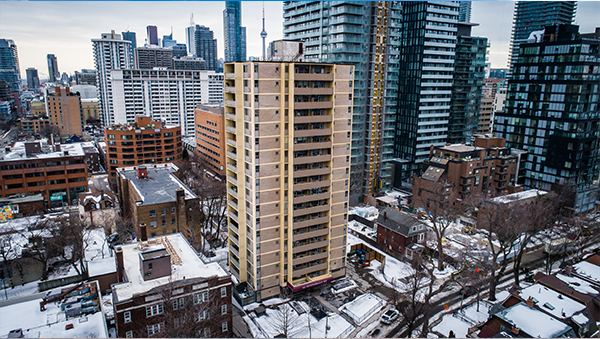 41 Dundonald Street Article Image