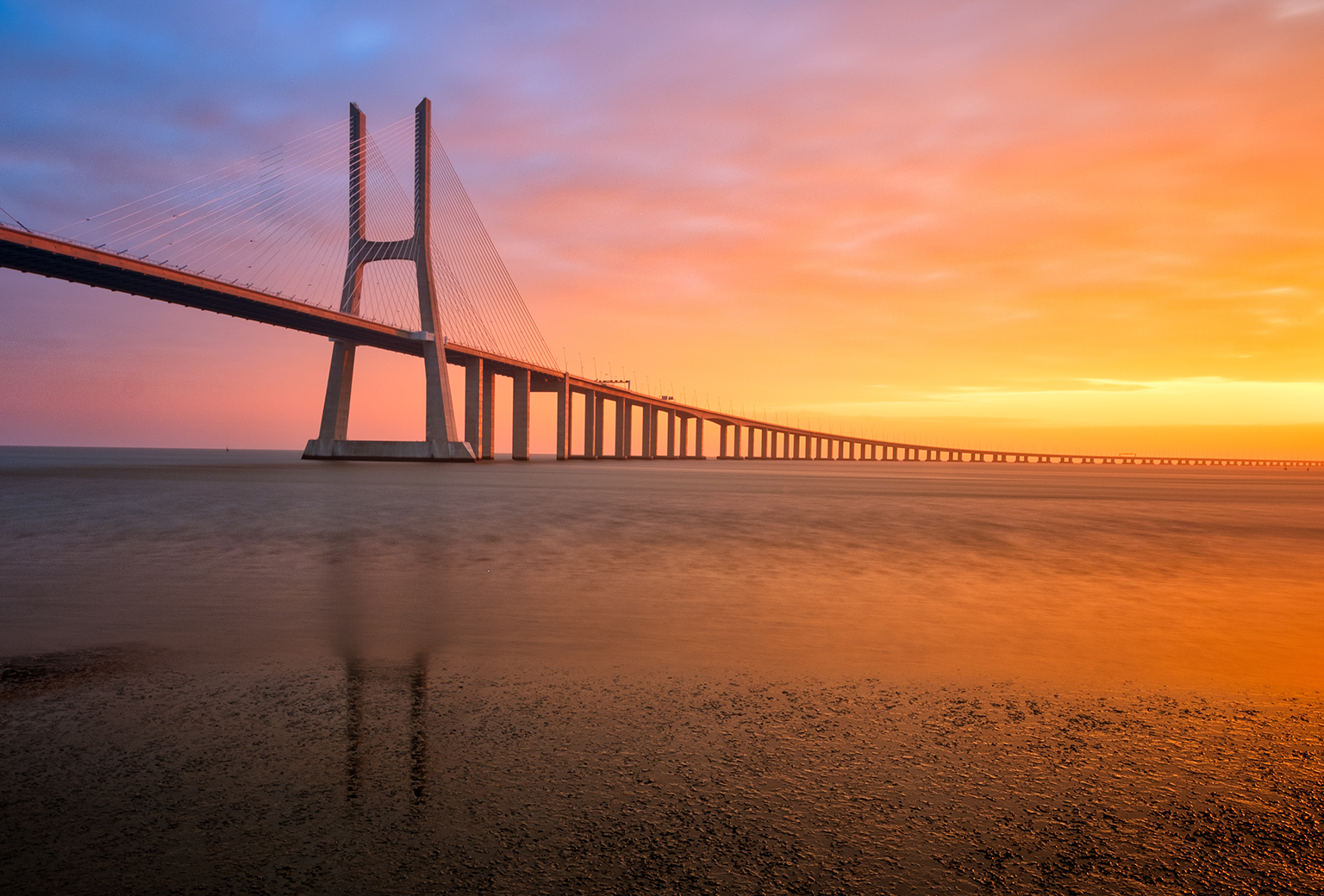 CS  Enegineering Firm Success Story Hero Image