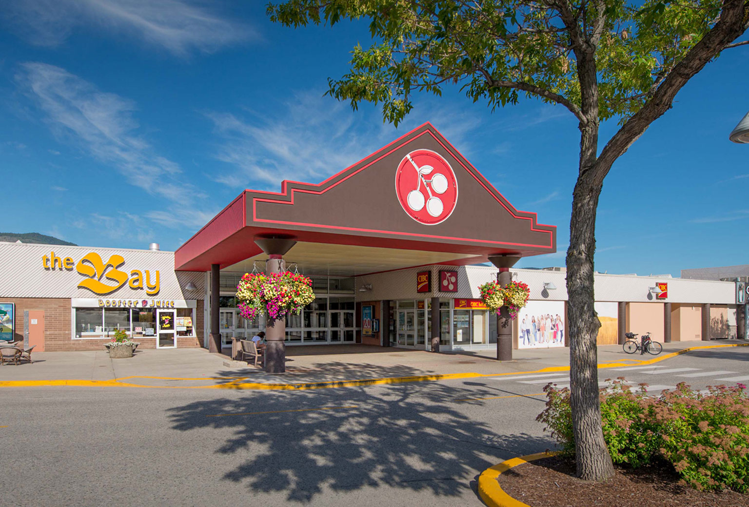 Cherry Lane Centre - hero image