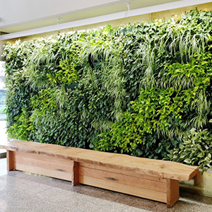 sustainability image