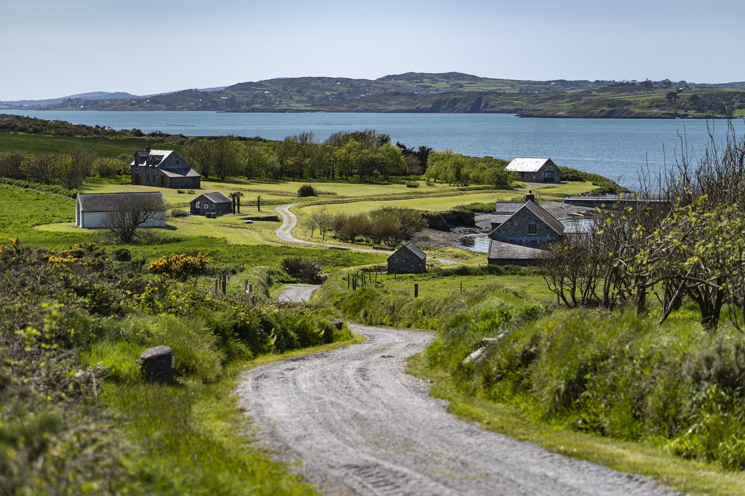 Image Horse Island Website