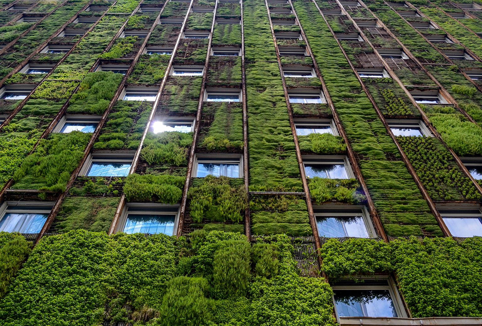 kantoorgebouw met veel groene planten op de gevel