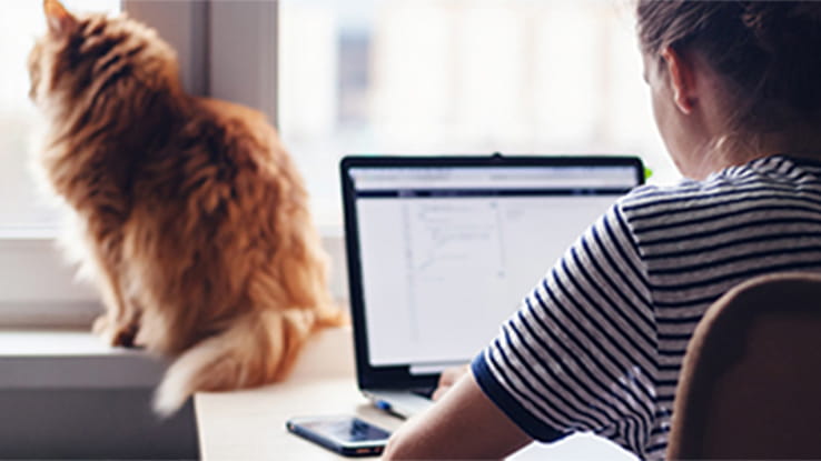 vrouw die thuiswerkt met kat