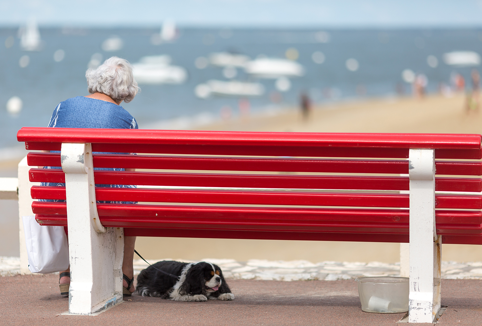 vrouw met hond bij het strand