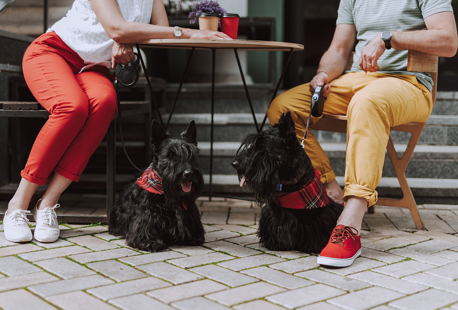 man en vrouw drinken koffie op horeca terras met hond