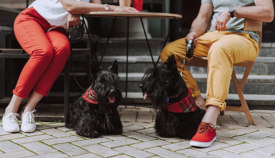man en vrouw drinken koffie op horeca terras met hond