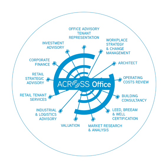 kolo_across_office_trep_eng