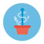 Rozwojowy start w Colliers