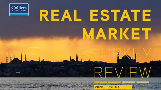 Review 20202 eng 554X310