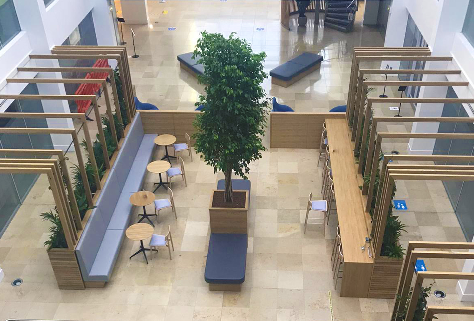 Blog 16 07 21 Adding plants to your office provides more than decoration hero