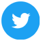 Twitter Icon