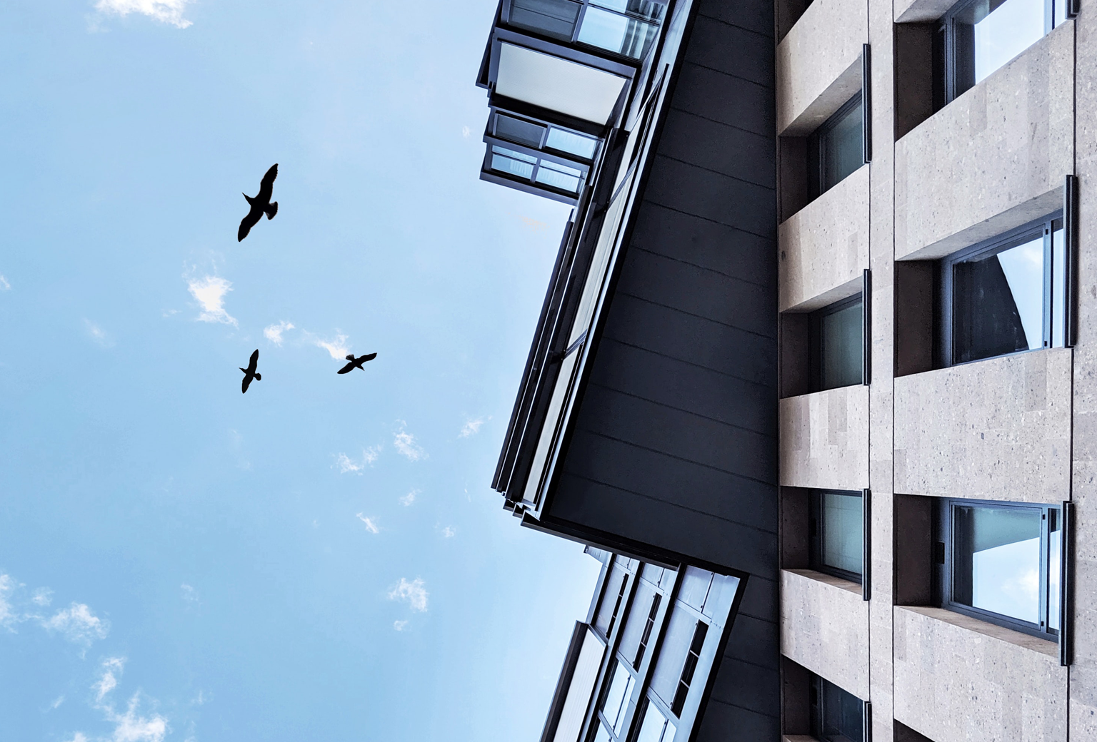 12 11 20 UK economy could bounce back stronger than forecast hero