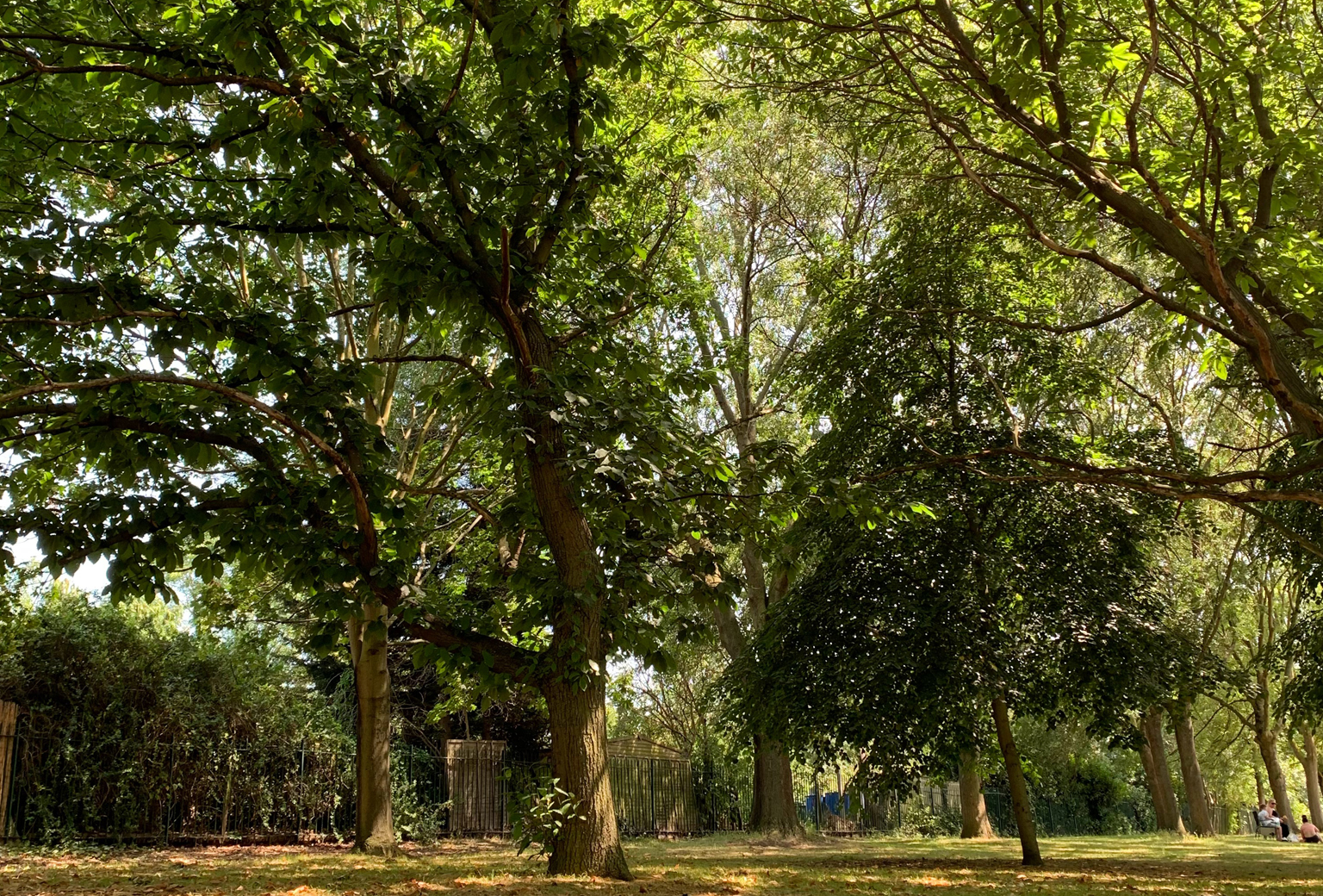 12 07 21 Center Parcs secures option to acquire site for sixth UK holiday village hero