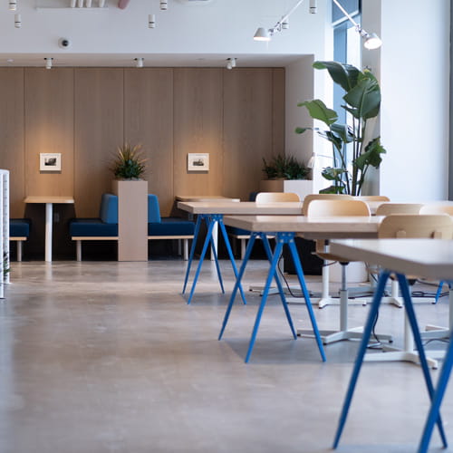 Colliers Gender Pay 2018 search