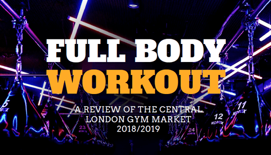 Full Body Workout Gym Review 2018 19