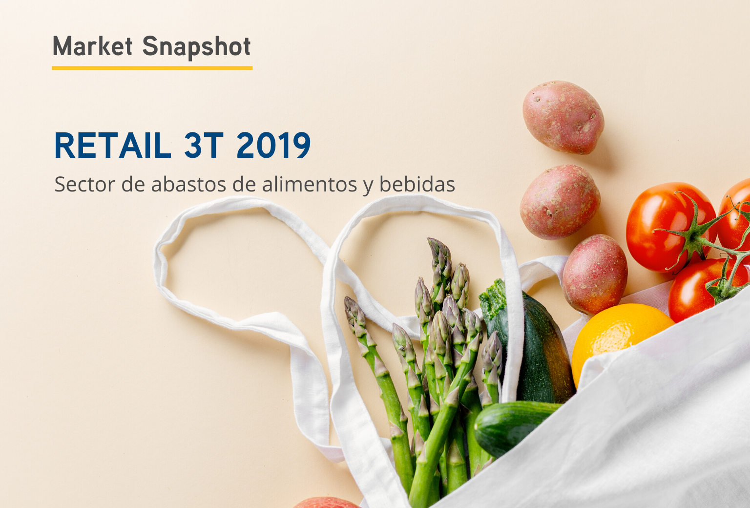 Retail Snapshot 3T 2019