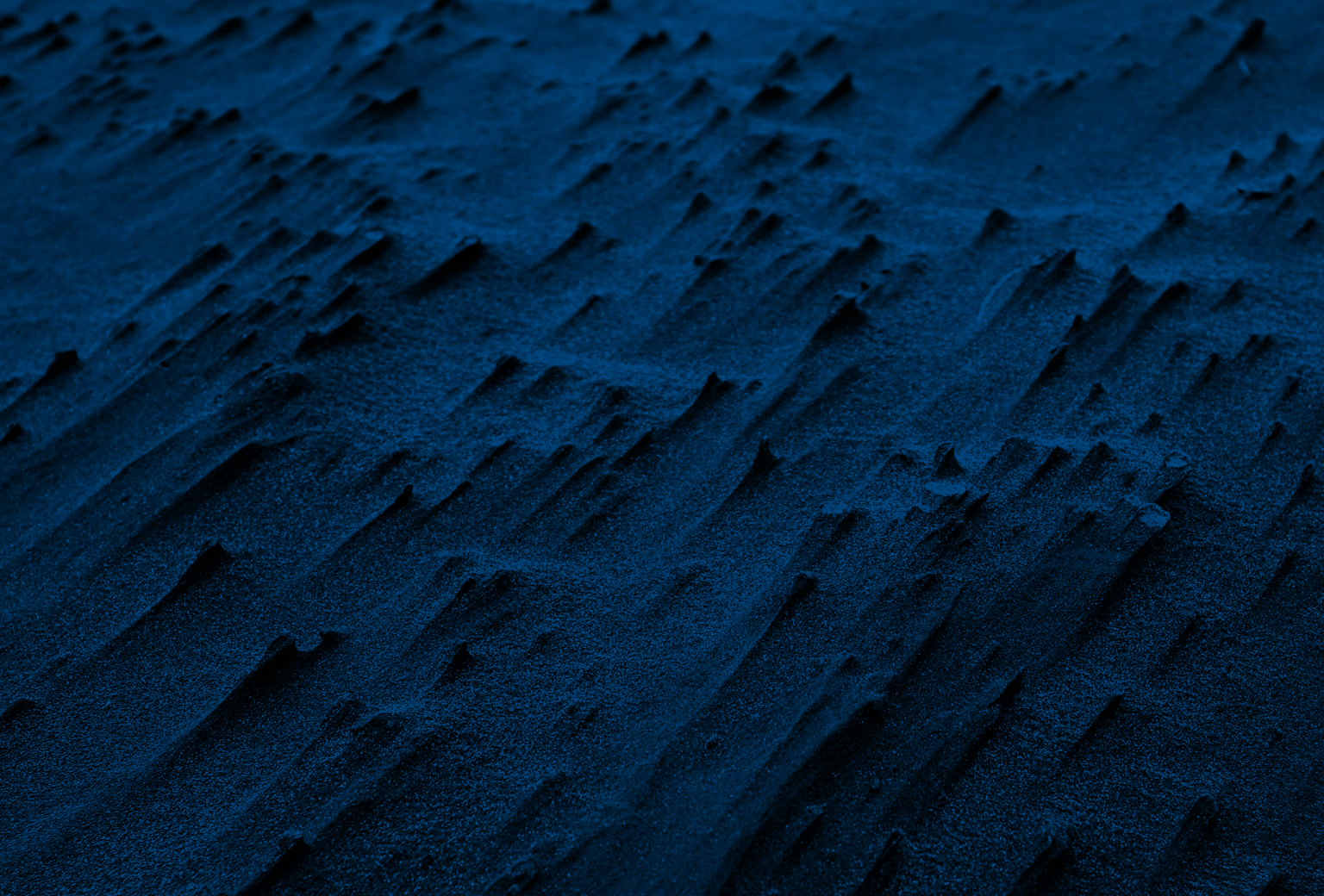 2020_Special_Report_Header_1536x1040