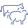 109_CattleSheep