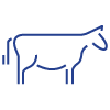 76m_Steer
