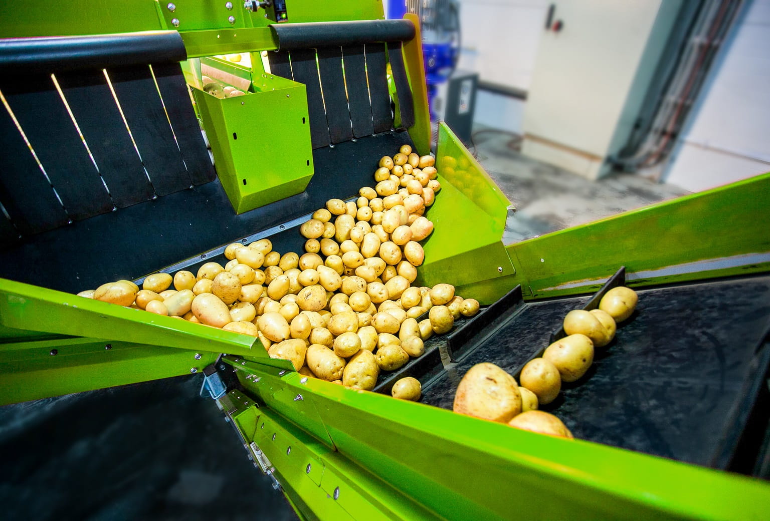 EarthFreshCaseStudyHero