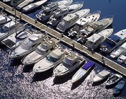 Marina 3597832 250x196