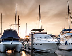 Marina 83516453 250x196