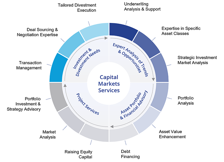 Capital Markets Services Wheel Capabilities